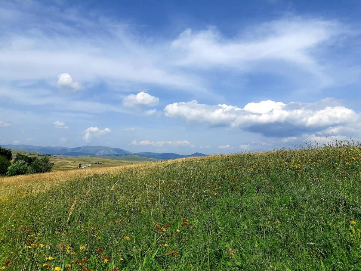 Durmitorski Zabljak (Zabljak)