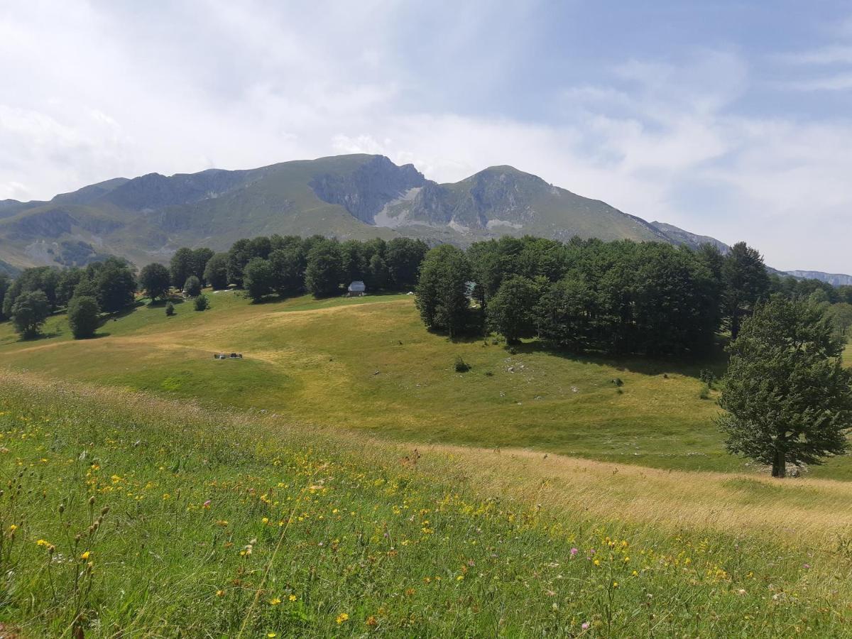 Holiday home Durmitorski Zabljak (Zabljak)